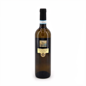 Falanghina Doc di Montesole